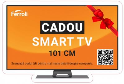 Cazan din otel pe peleti Ferroli BioPellet Pro 24KW + CADOU TELEVIZOR SMART TV 101 CM VORTEX - 